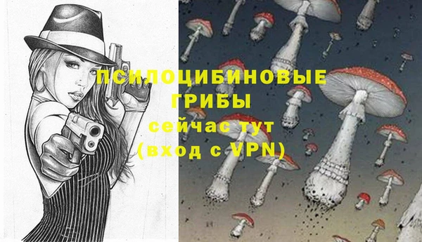 прущая мука Козловка