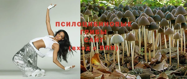 mdpv Кодинск