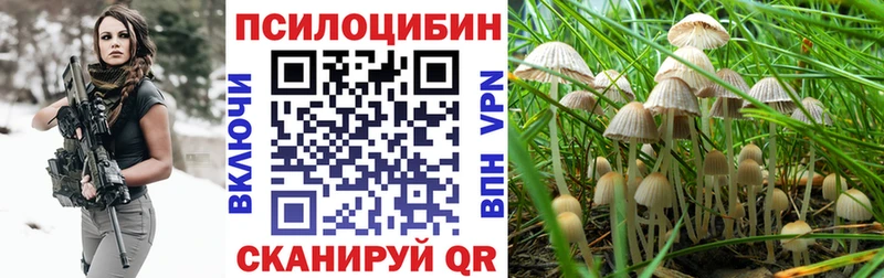 Галлюциногенные грибы Cubensis  Купить закладки  Цимлянск 