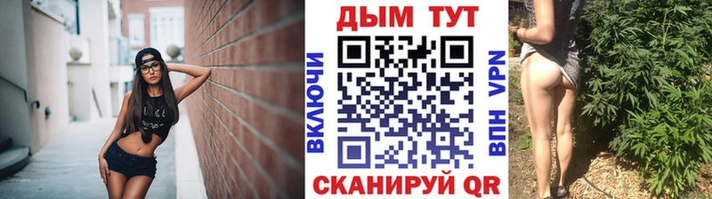 Купить закладки  Цимлянск  Шишки марихуана план 